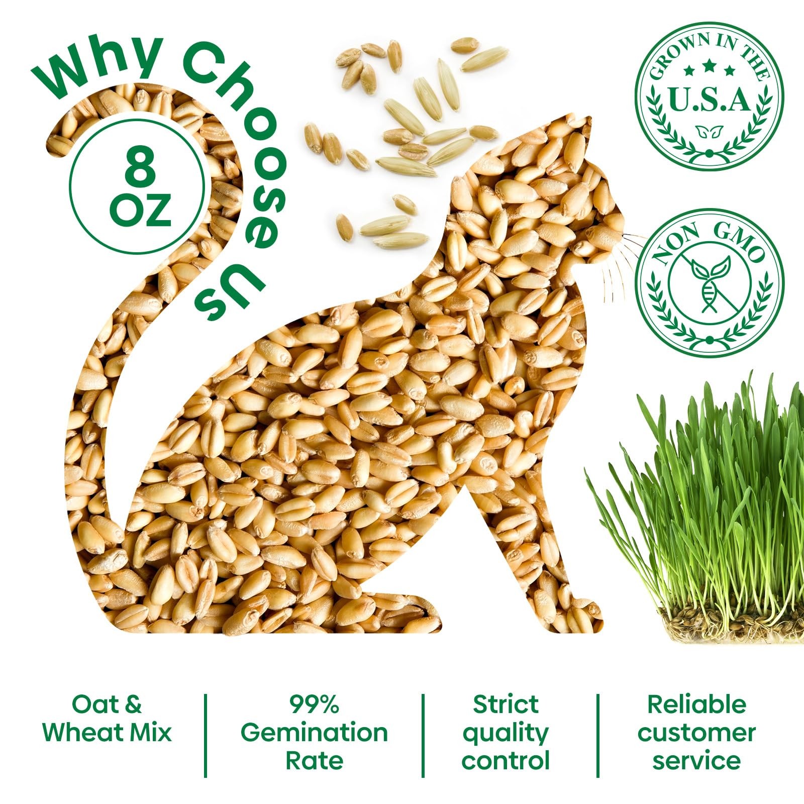 Cat Grass Seeds 8oz, Wheat & Oat Seeds Mix