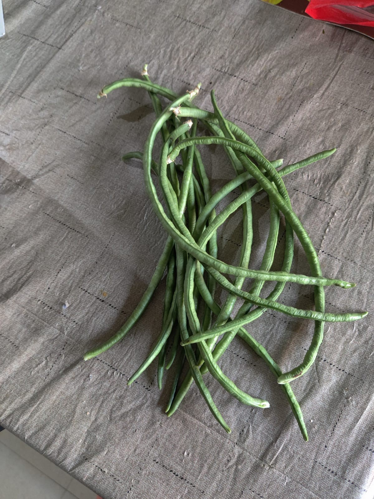 Yard Long Bean green Karamani Bush type Compact Growth And High Yields 15 Seeds