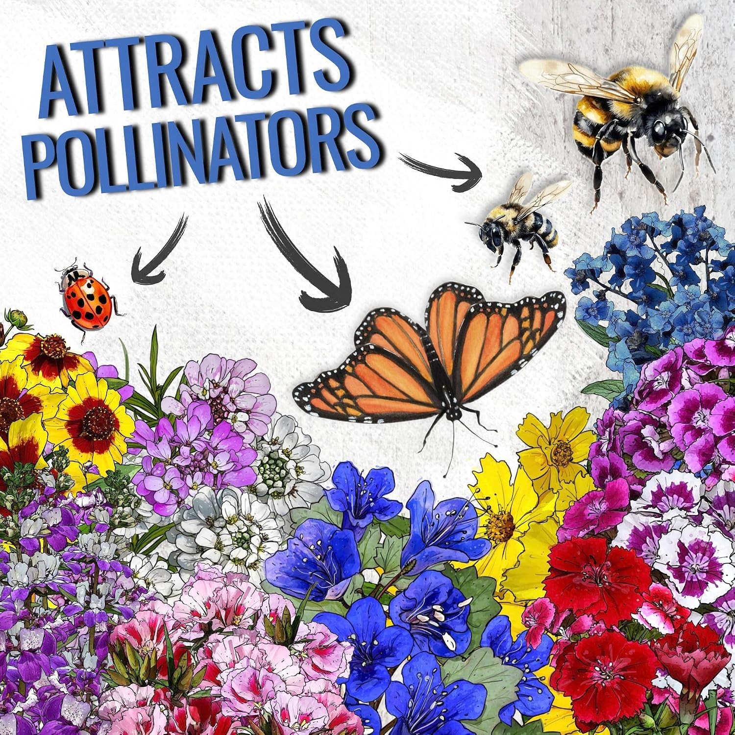 1 Ounce Low-Growing Wildflower Seeds Mix – Attract Butterflies & Pollinators