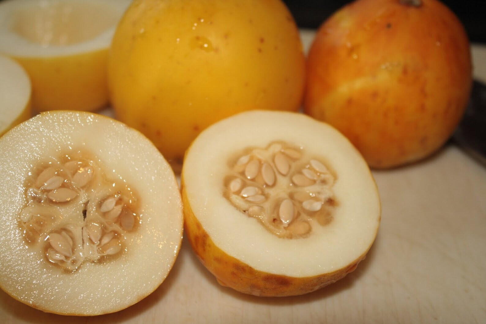 11 SEEDS – vine peach MANGO MELON Annual vine GroCo USA – BUY ANY 15-SHIPS FREE