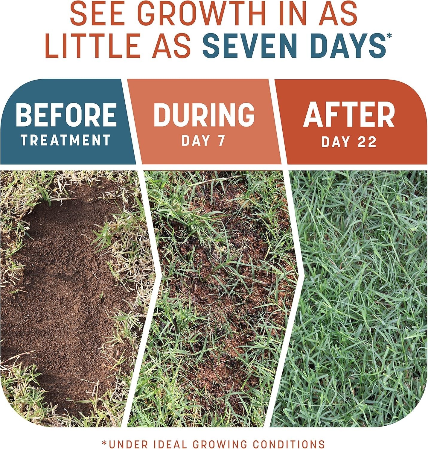 Smart Patch Bermudagrass Mix 10 lb – Ideal for Sunny Lawns & Quick Fixes