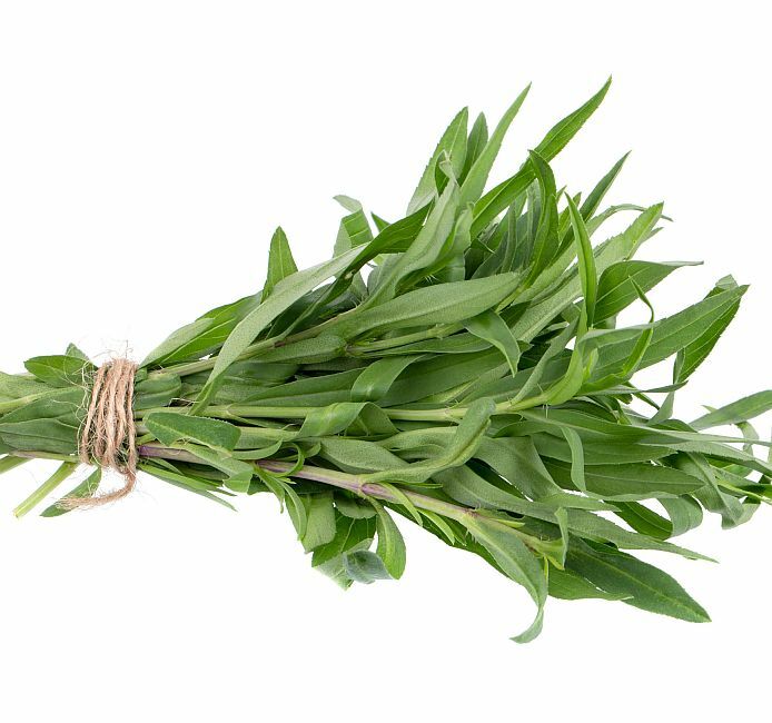 300 Seeds, Tarragon Seeds E209, Home Garden DIY