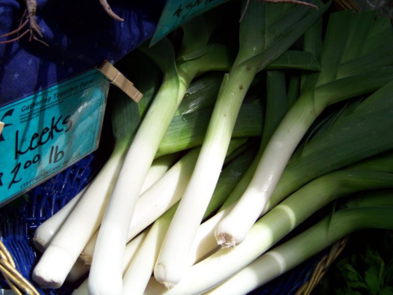 400 SEEDS – leek, LARGE AMERICAN FLAG LEEKS GroCo USA – BUY 15-SHIPS FREE