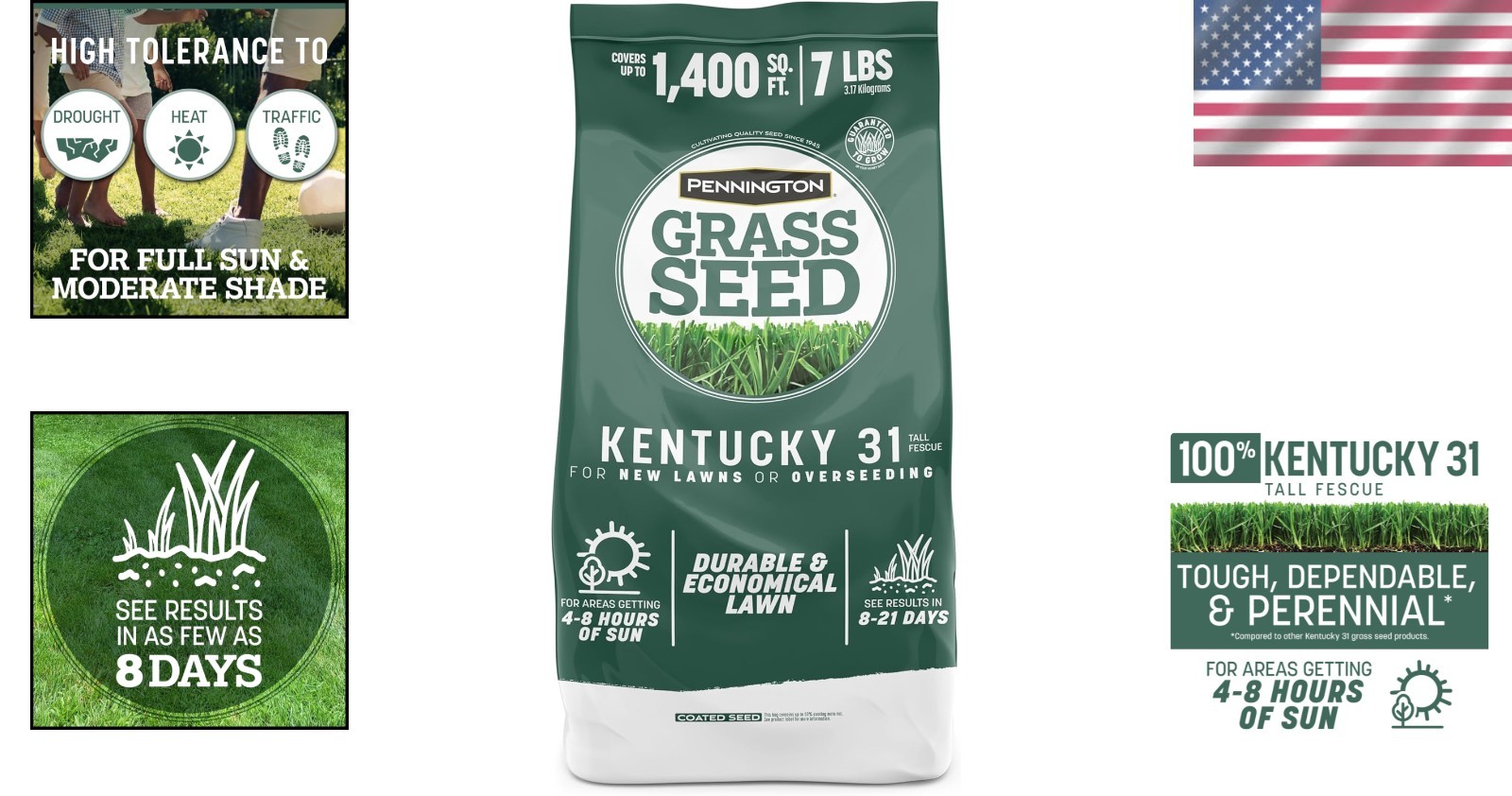 Drought-Resistant Fescue Grass Seed – 8 Hours Sunlight