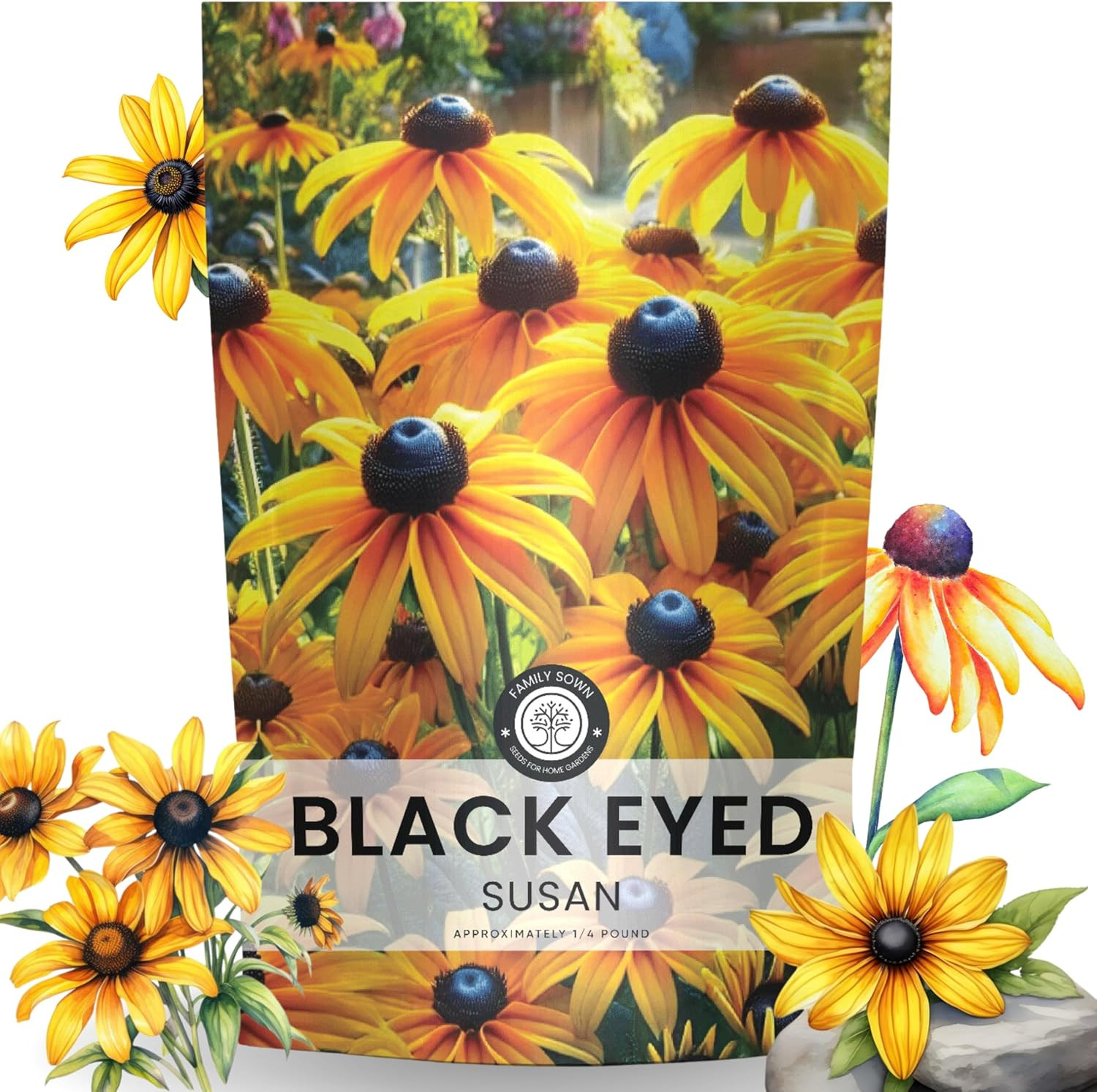 Black Eyed Susan – Bulk 1/4 Pound Pouch – 400,000 Flower Seeds for Planting – Ru