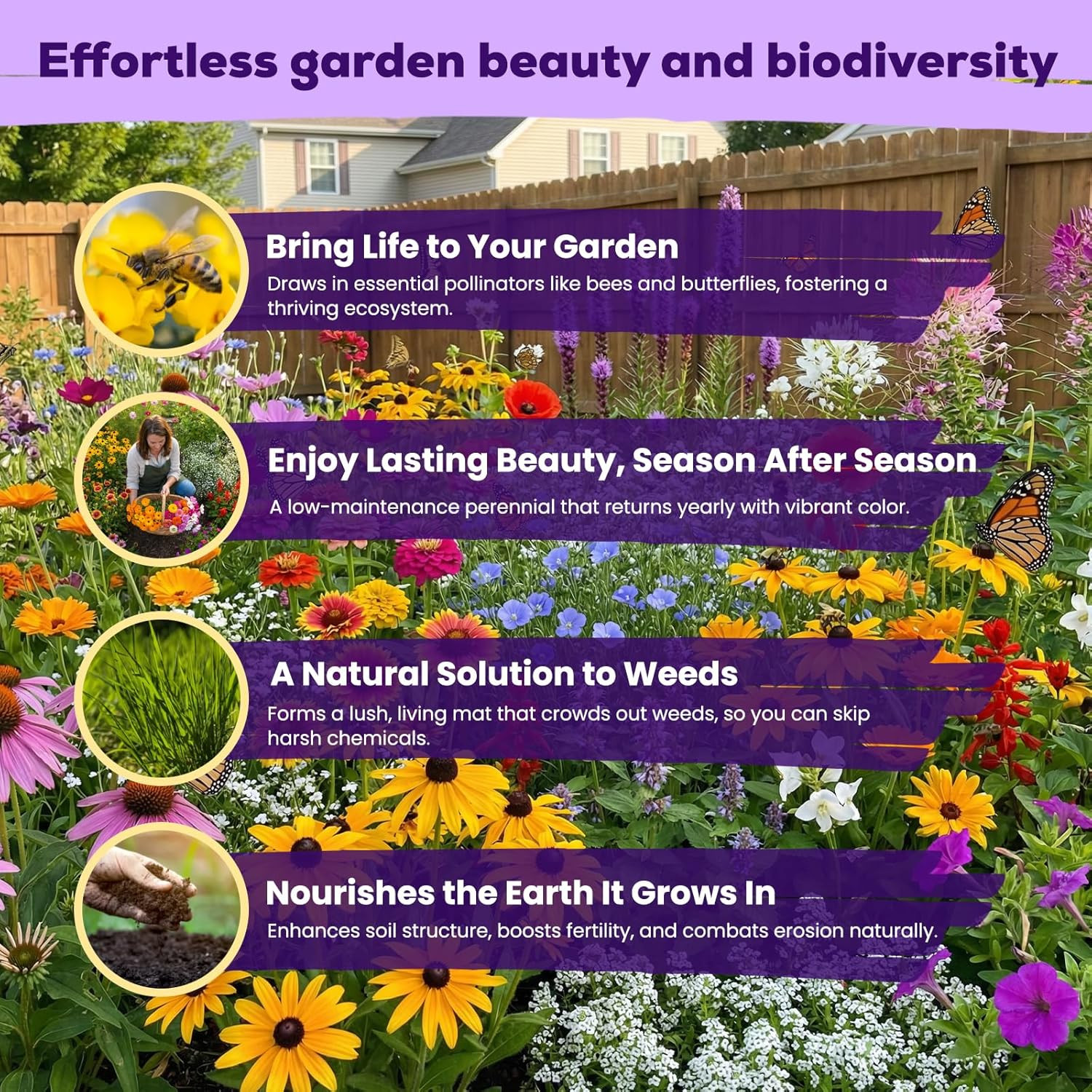 200,000+ Wildflower Seeds Bulk (4Oz) – 16 Varieties Perennial & Annual Mix, Attr