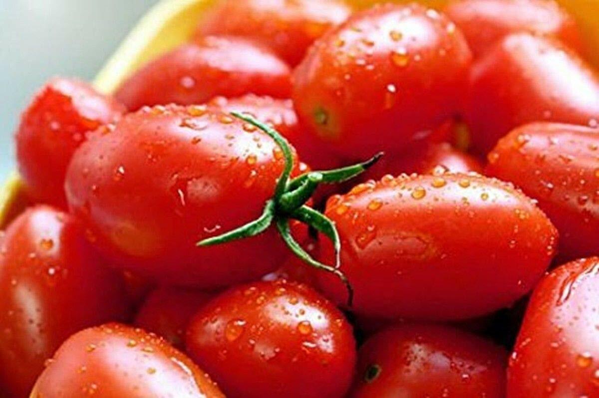 Crovarese Italian Grape Tomato Seeds, NON-GMO, Variety Sizes, FREE SHIPPING