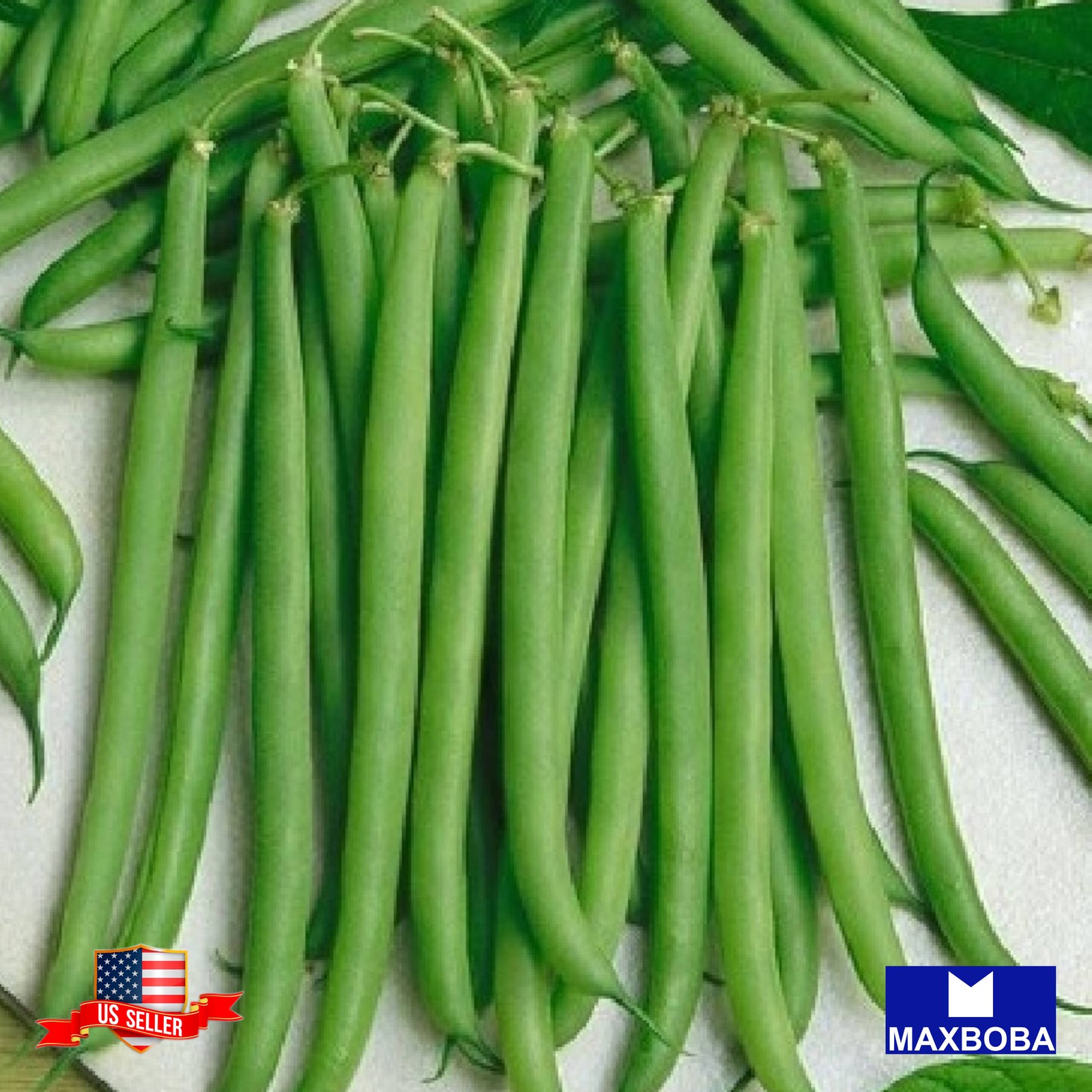 03 Black Valentine Bean Fresh Seeds – Bush Non-GMO Heirloom Vegetable