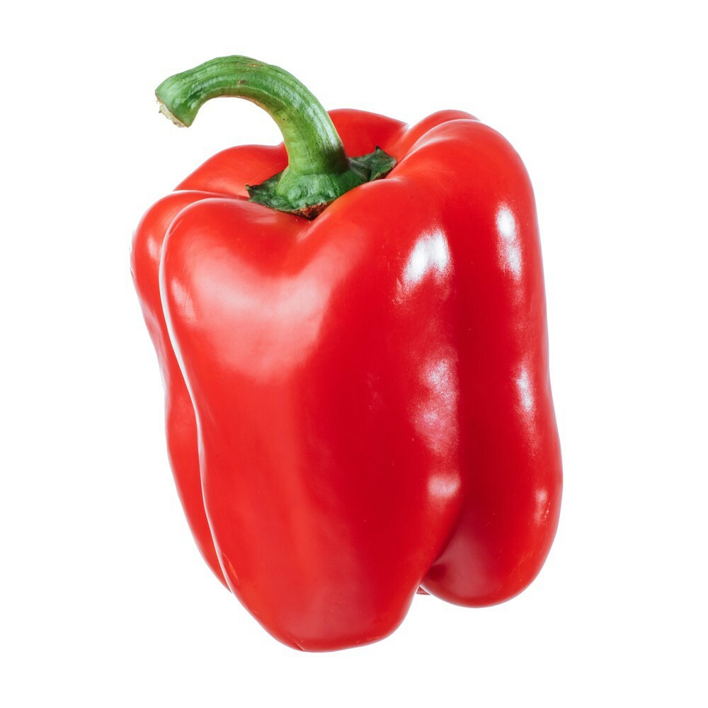 SWEET Heirloom Big Red | Yellow | Purple Lilac| Orange| Aloha Bell Pepper Seeds