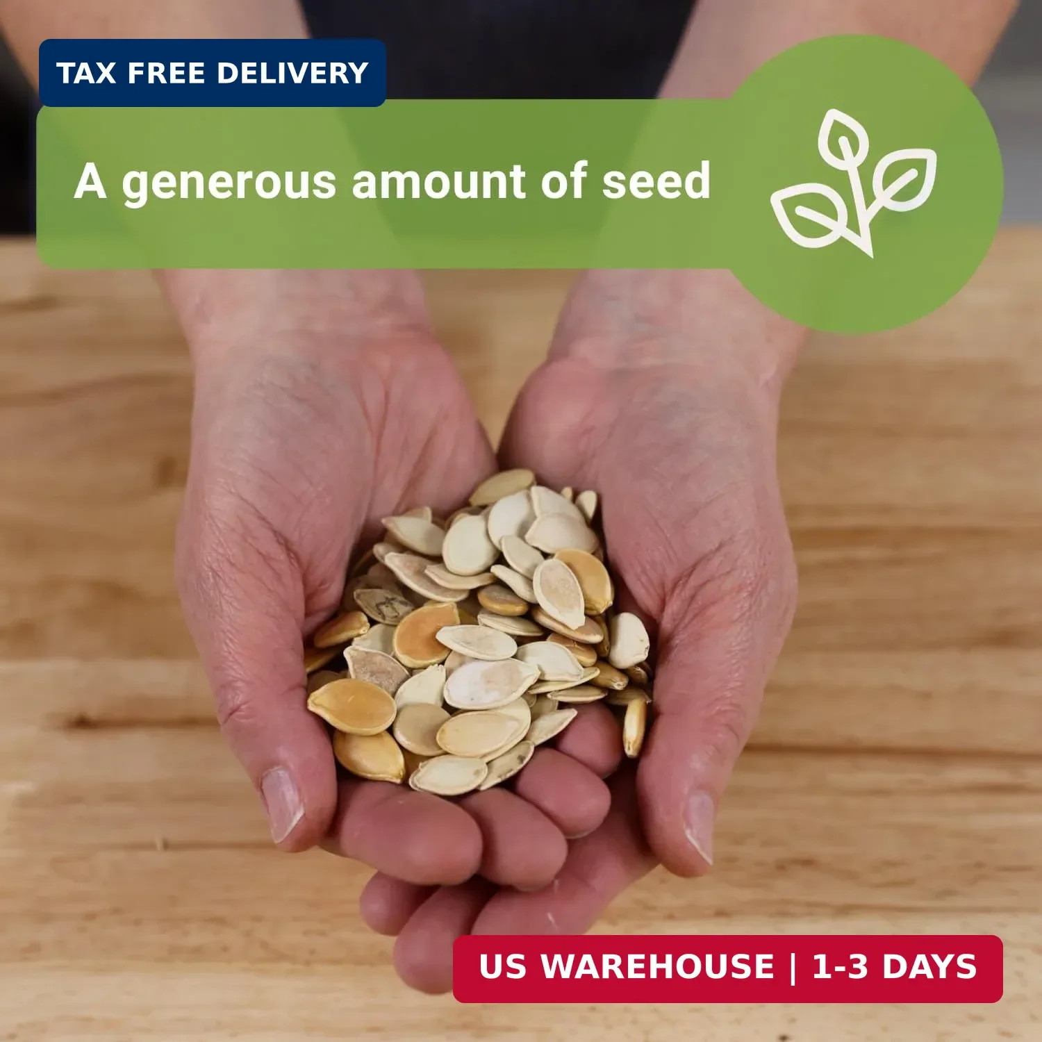 Sow Right Seeds – Bulk Mixed Pumpkin Seeds for Planting – 1 Ounce, 140 Seeds – N