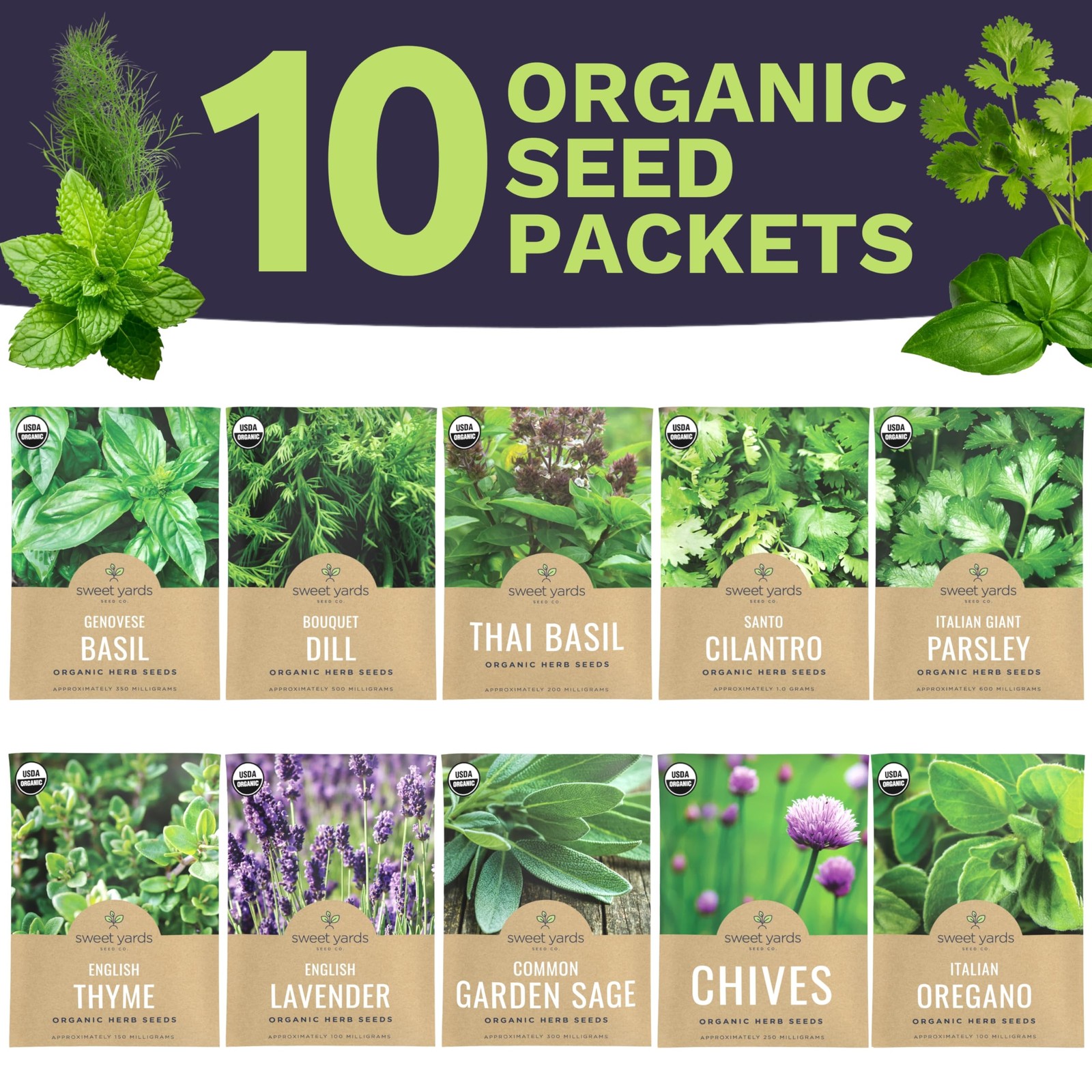 Organic Herb Seeds Variety Pack – 10 Individual Packs – 2026 Season – Basil, …