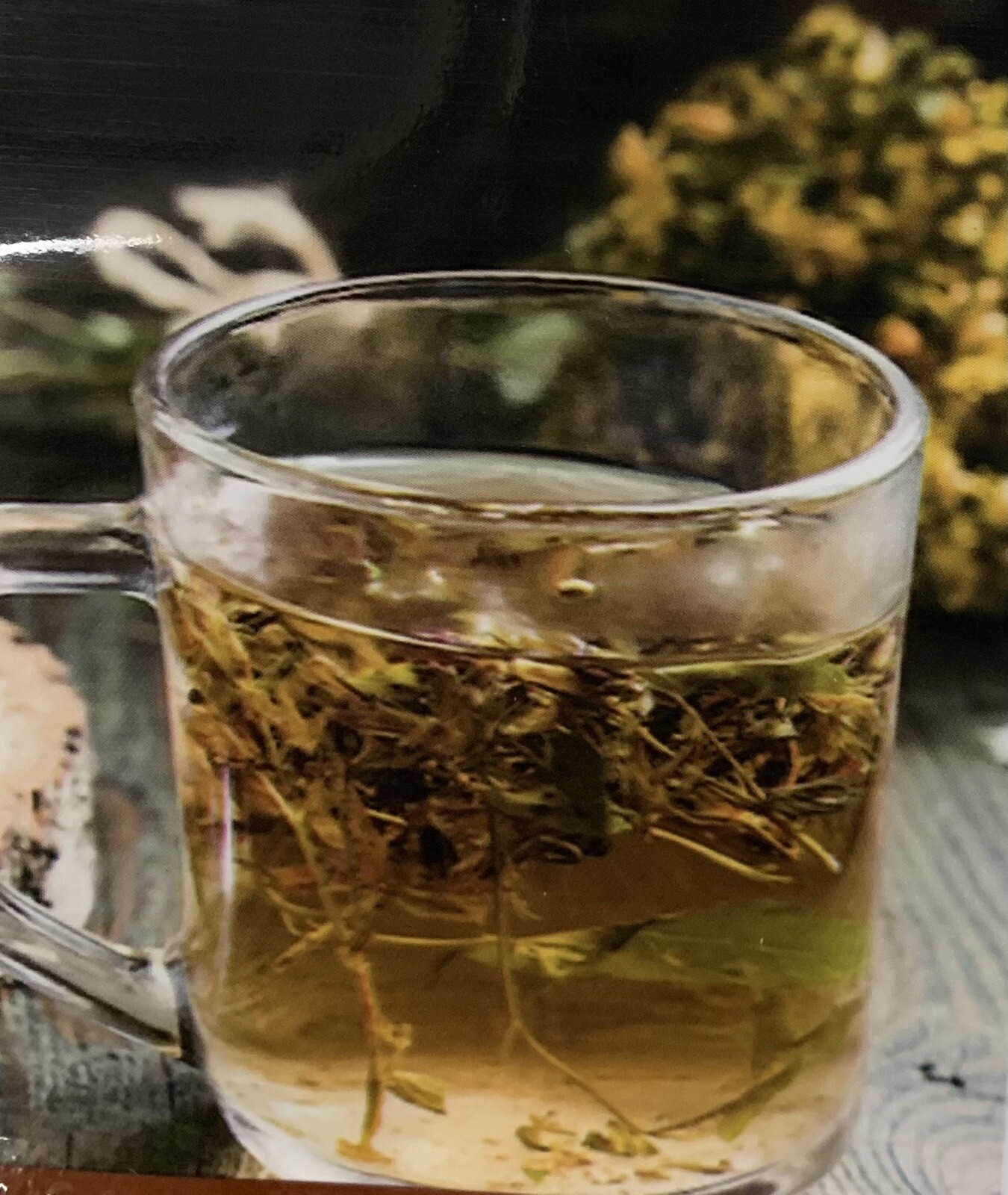 Herbal Tea Garden 🪴 Organic Peppermint Chamomile Lavender Lemon Balm Seeds