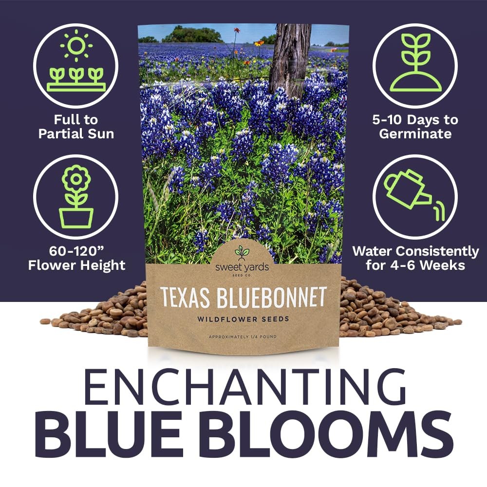 Native Wildflower Seeds Texas Bluebonnet 1/4 Pound Bag Over 4000 Seeds f