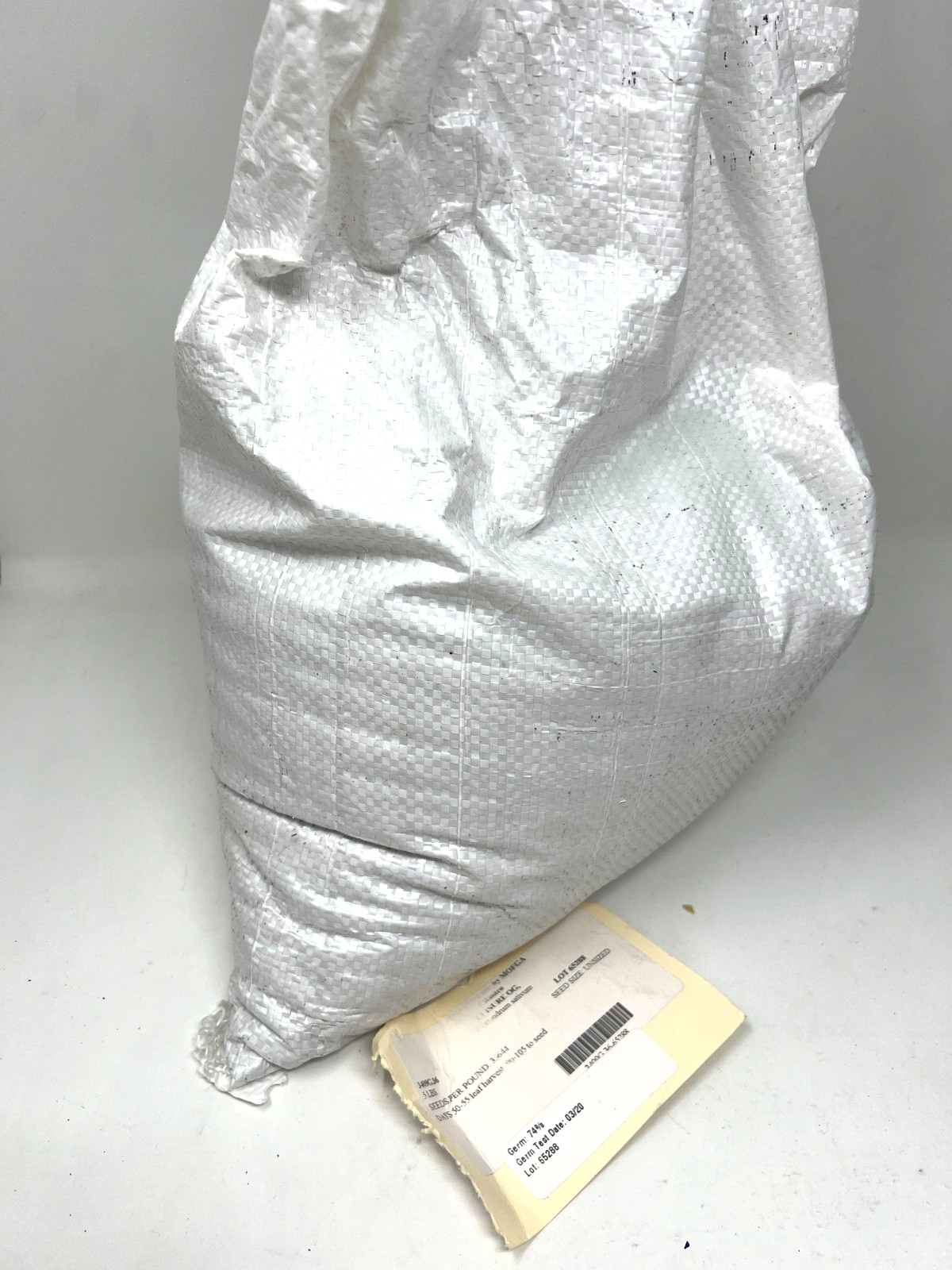 Johnny’s Seeds Organic Cilantro Seed 5 LB Herb Garden Non-GMO Leisure