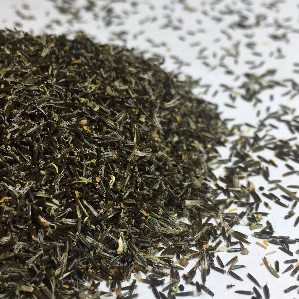 Boneset Seeds (Eupatorium perfoliatum)~Traditional Herb Native Pollinator Garden