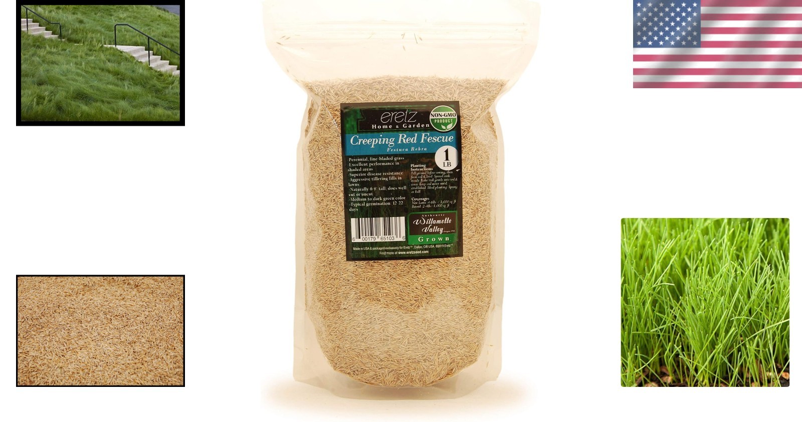 1lb Creeping Red Fescue Grass Seed – Superior Disease Resistance & Fast Growth