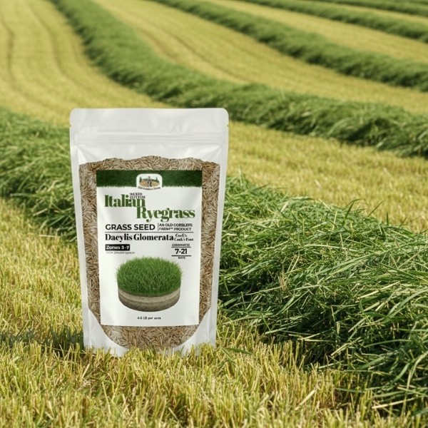 Old Cobblers Farm™ Wicked Tuff Turf Firkin Italian Ryegrass Seed – Fast Growth