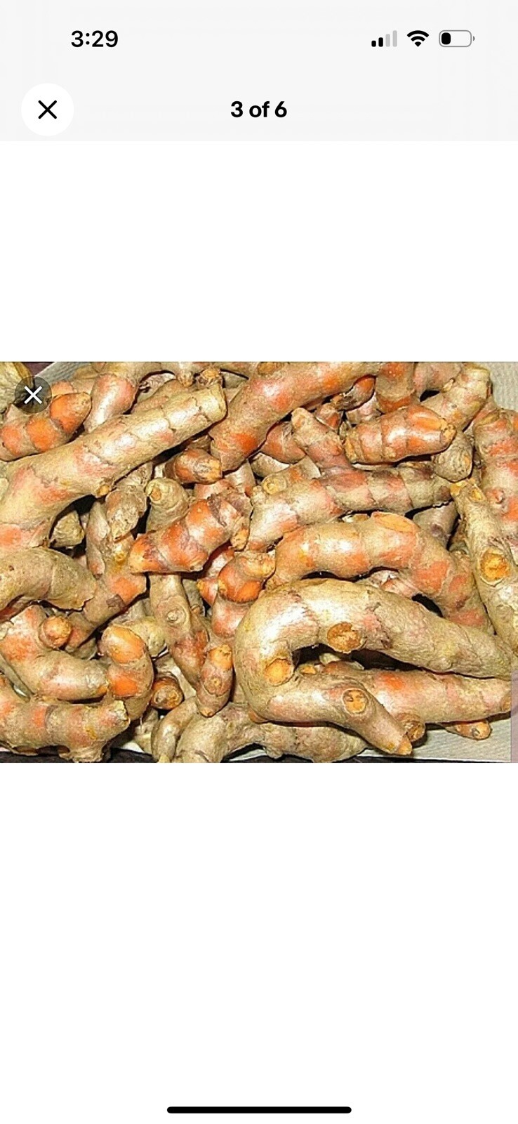 Fresh Turmeric , Indian Herb 8oz. for Arthritis, FREE SHIPPING