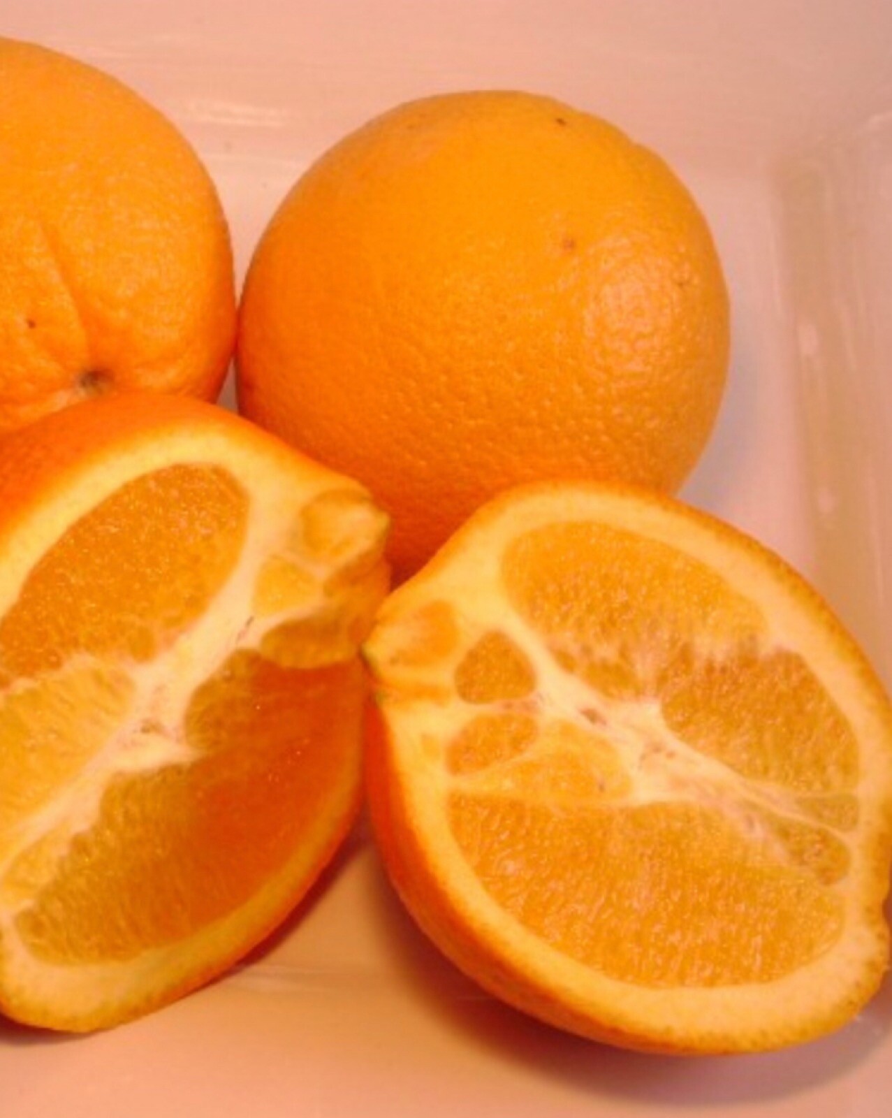 For Texas Only! Washington Navel Semi-Dwarf Orange Tree, 2 yo, 3-4 feet tall