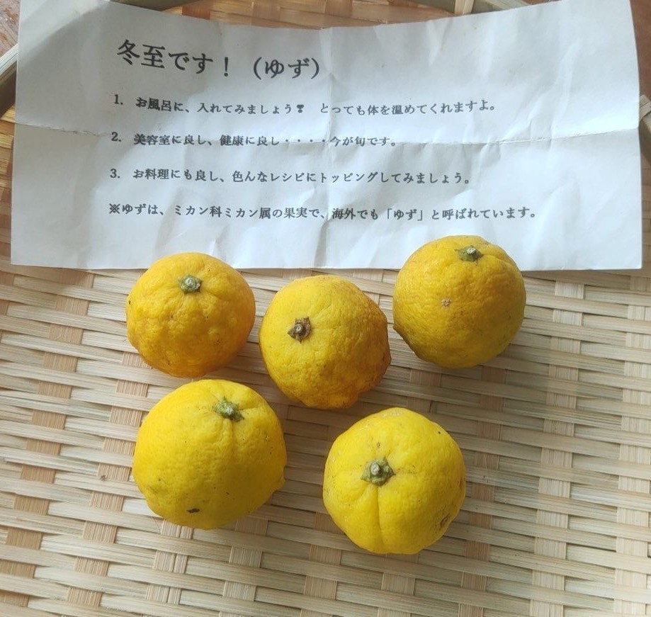 10 Japanese Yuzu Seeds (Citrus junos)– Fresh Seeds for Planting – Rare Fruit
