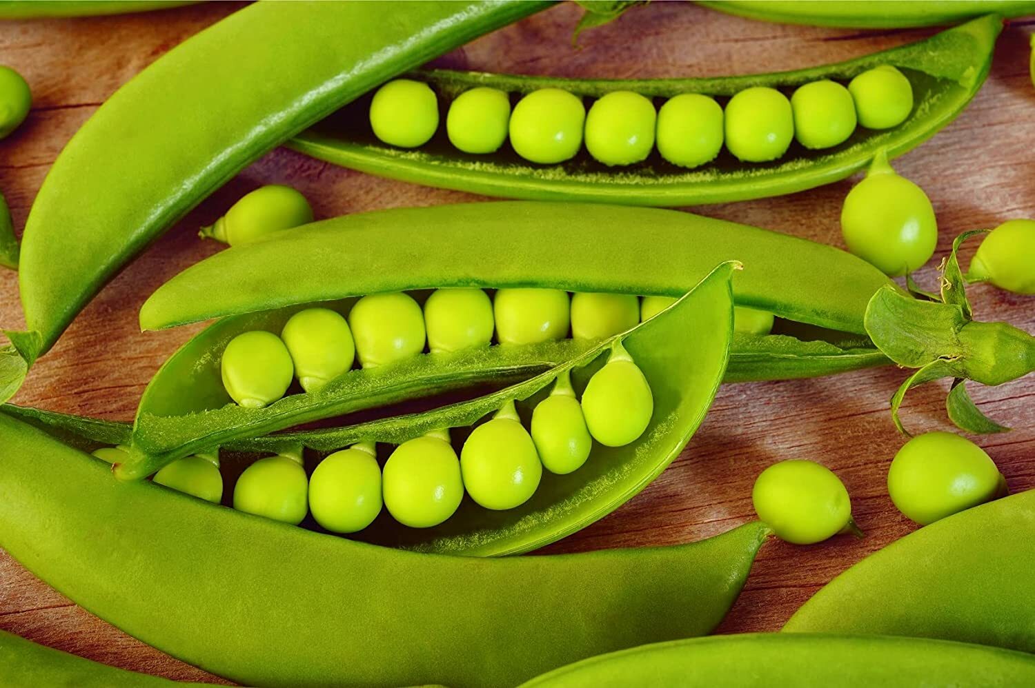 100+ Sugar Snap Pea Seeds for Planting Pisum sativum