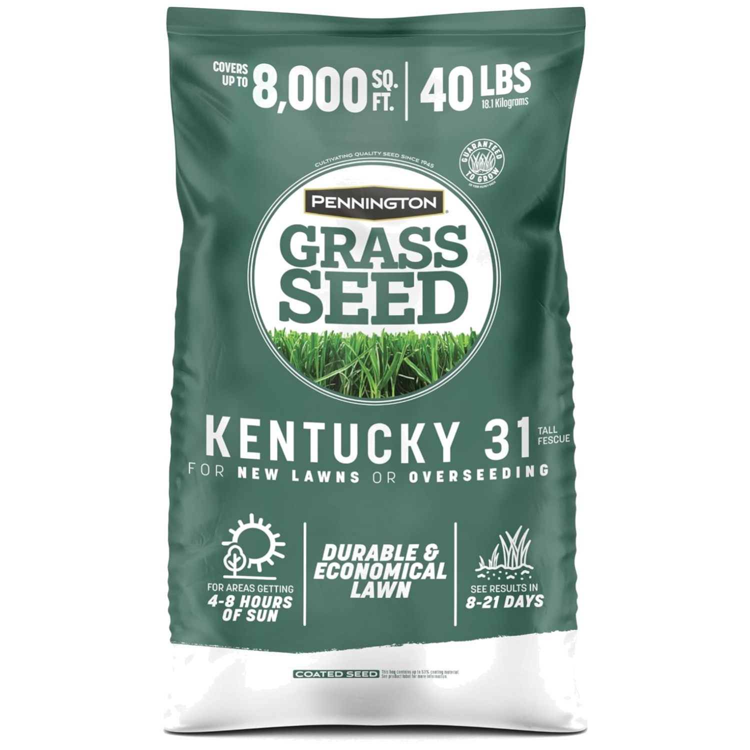 Thick Blades for Summer: Tall Fescue Grass Seed