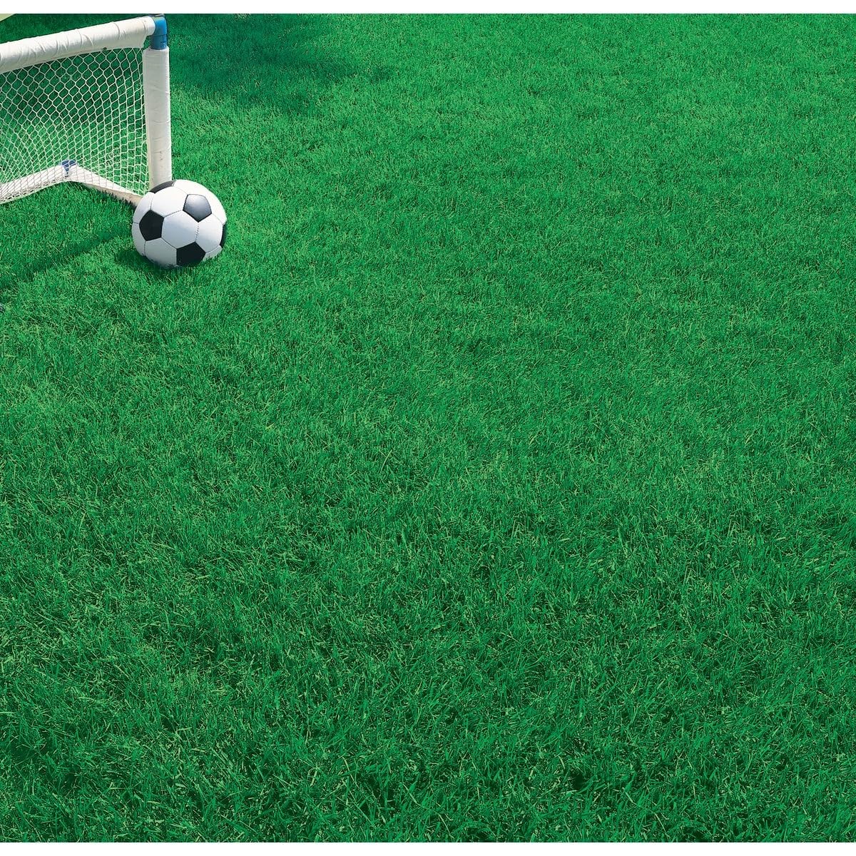 Barenbrug 135936 Quick Grass Seed, 3 lb.