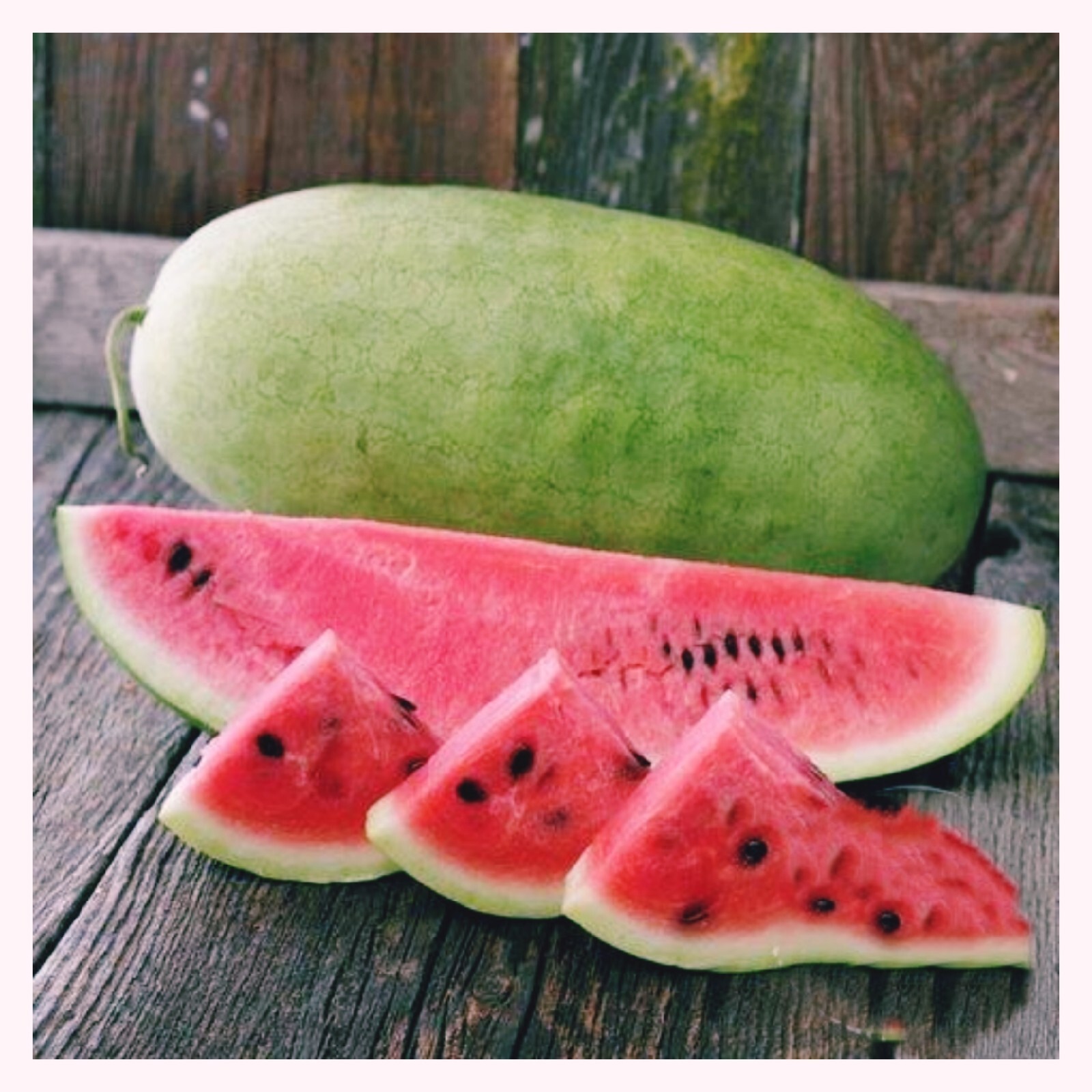 10+ Charleston Grey Watermelon Seeds | NON-GMO | Heirloom | heat tolerant |