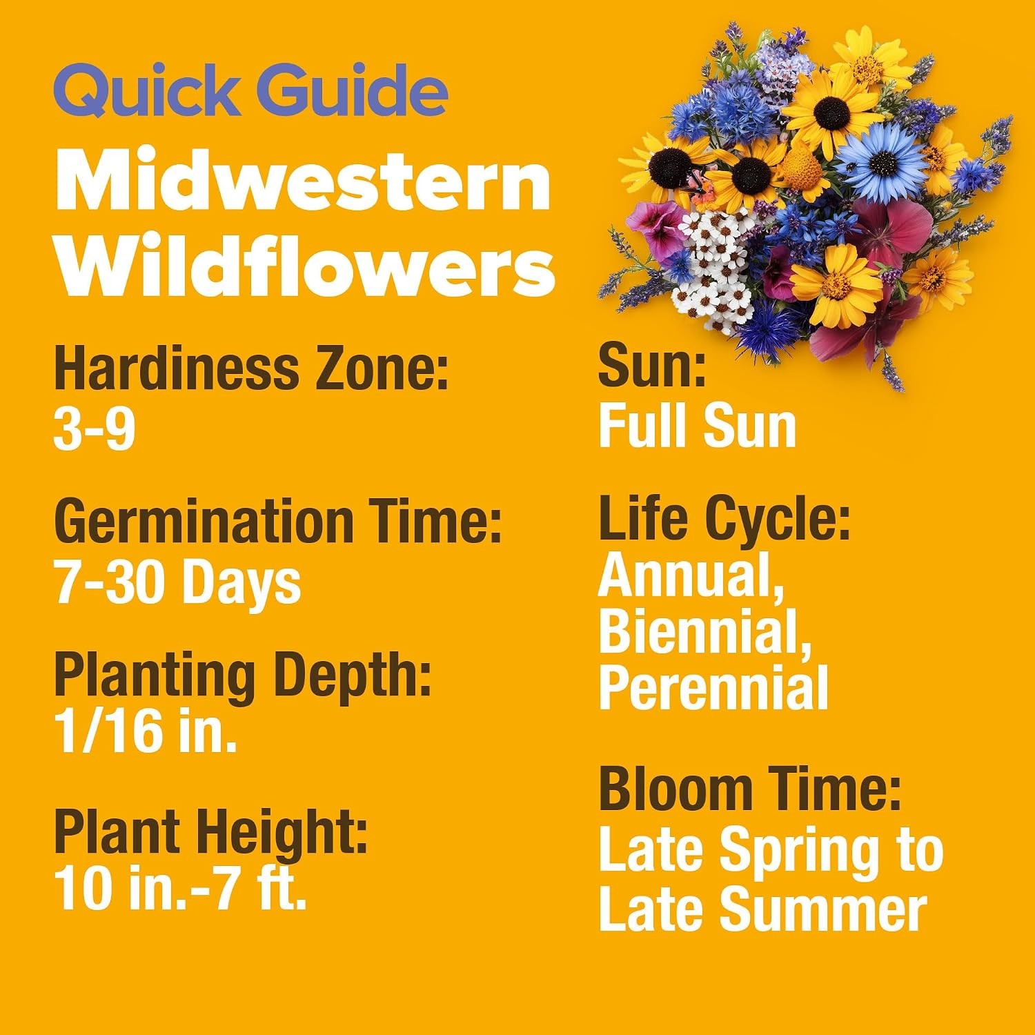 Midwest Heirloom Wildflower Seeds Mix 65,000+ Perennial Flowers Heirloom Seed