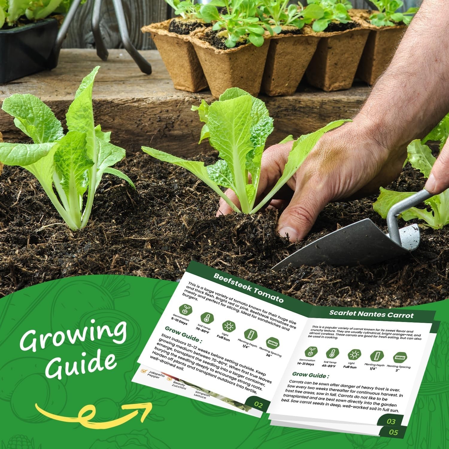 10 Vegetable Seeds Pack – Non GMO, Heirloom – Basil, Snap Pea, Broccoli, Bean…