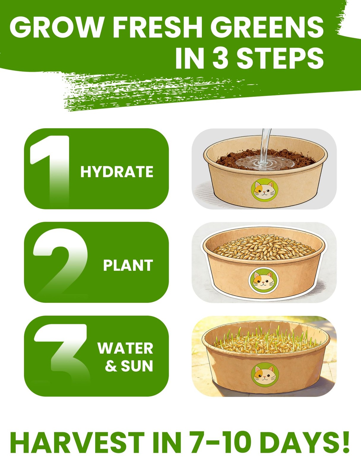 Cat Grass Kit for Indoor Cats, 3 Pack Fast Growing Cat Grass Kit with Eco-Fri…