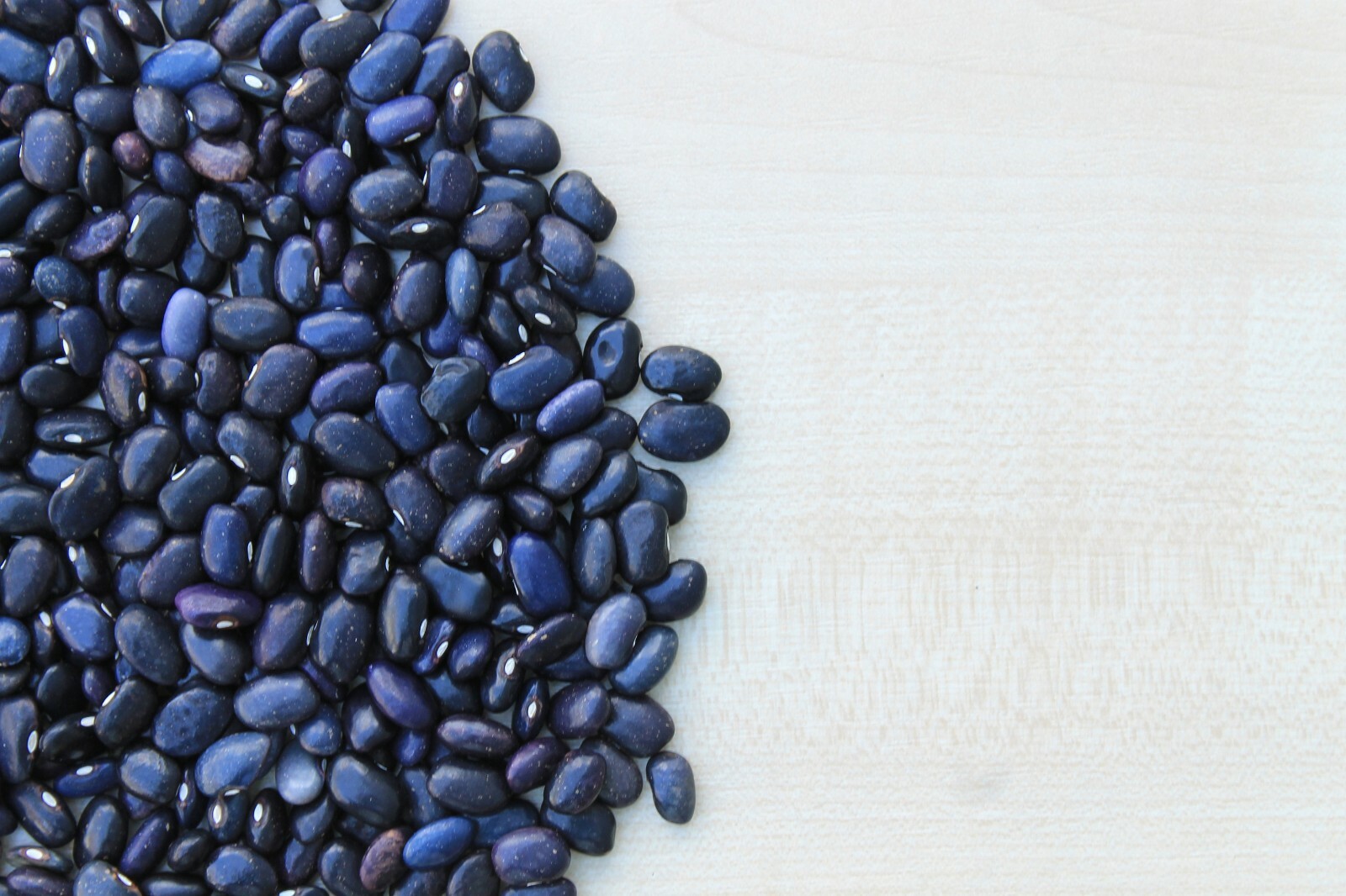 Bean Seeds -Black Valentine Bean – 200 Heirloom Bean Seeds- Seed Pack