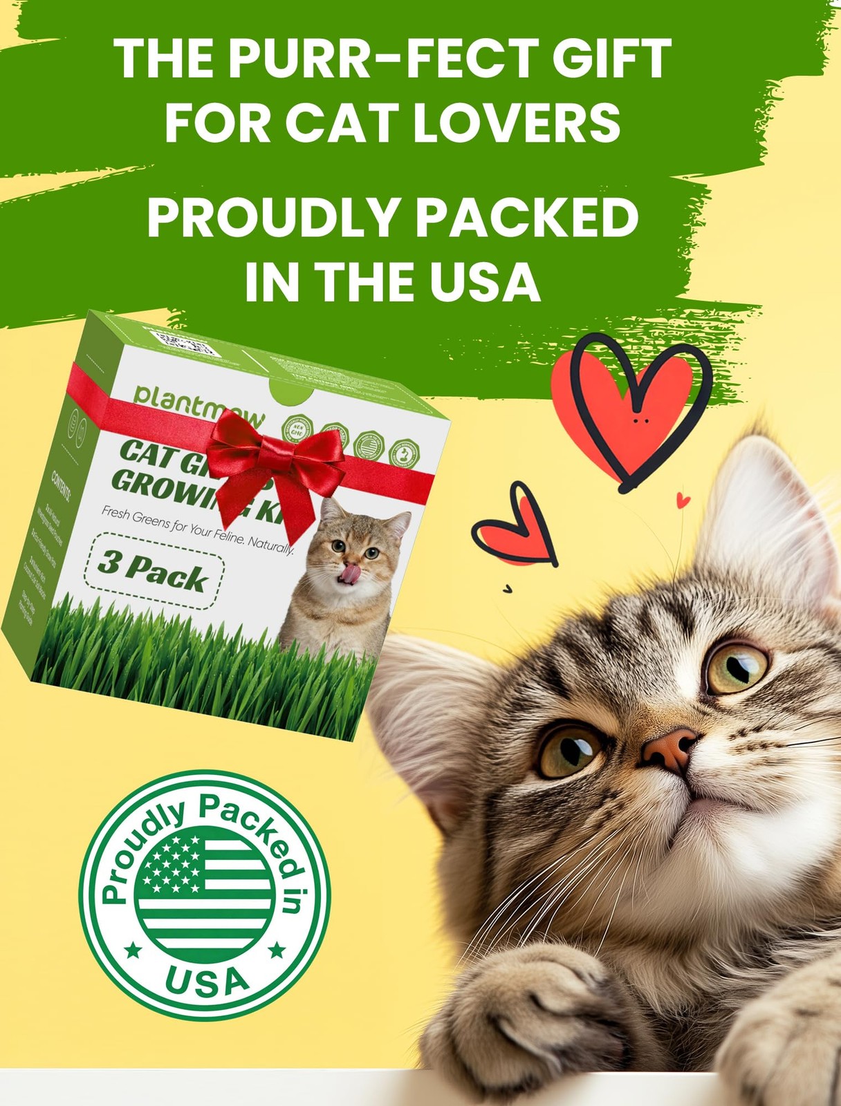Cat Grass Kit for Indoor Cats, 3 Pack Fast Growing Cat Grass Kit with Eco-Fri…