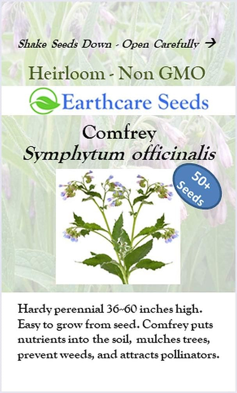 True Comfrey 50 Seeds (Symphytum Officinale) Non GMO, Heirloom