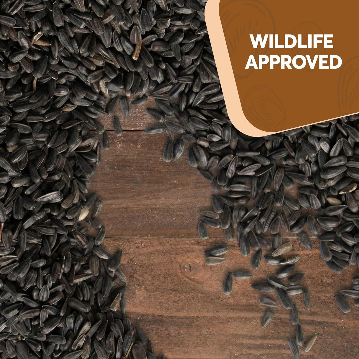 10 Pound Black Oil Sunflower Seeds for Birds – Premium Wildlife Food – Non – GMO