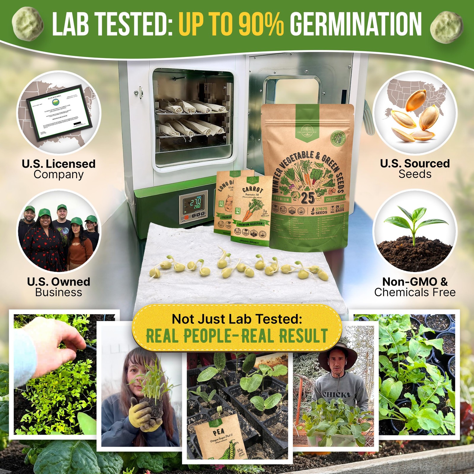 25 Winter Vegetable & Green Seeds Variety Pack for Outdoors & Indoor Home Gar…