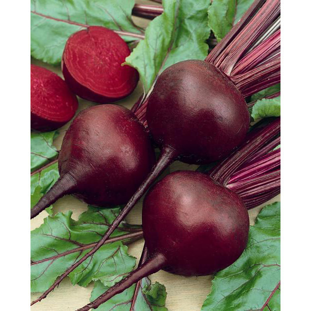 1200+ DETROIT DARK RED BEET SEEDS NON-GMO FRESH GARDEN HARVEST