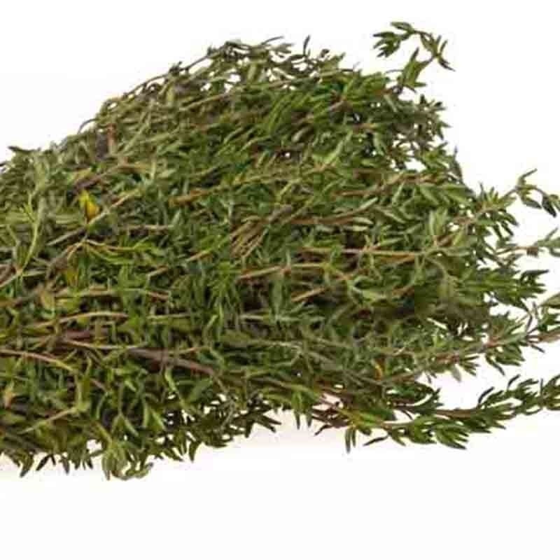 100+ SAGE SEEDS MOSQUITO REPELLENT HERB SPRING PERENNIAL HEIRLOOM DEER RESISTANT