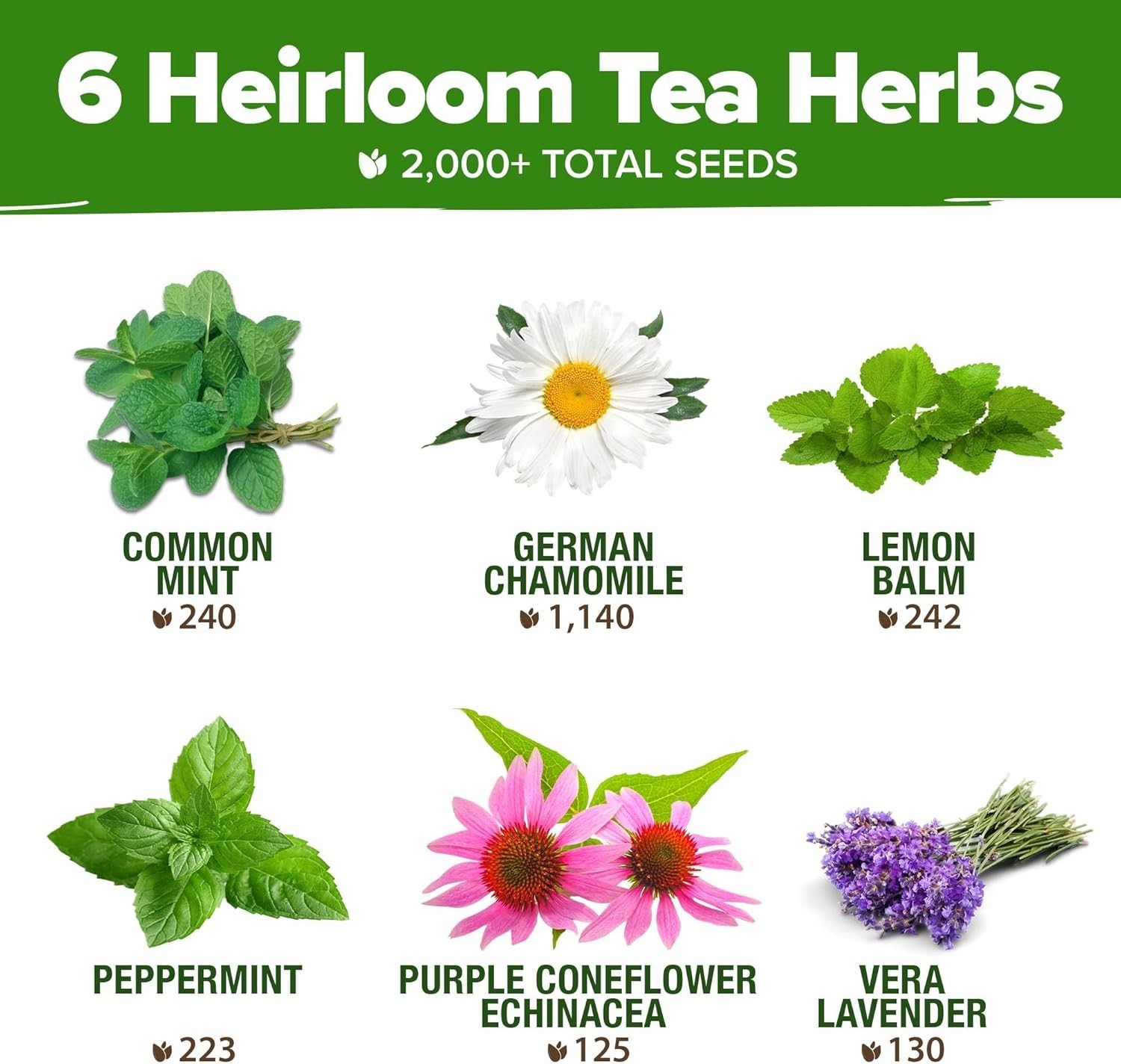 Medicinal Herb Seeds Vault – 2,000+ NON-GMO Heirloom Seeds for Indoor & Outdoor