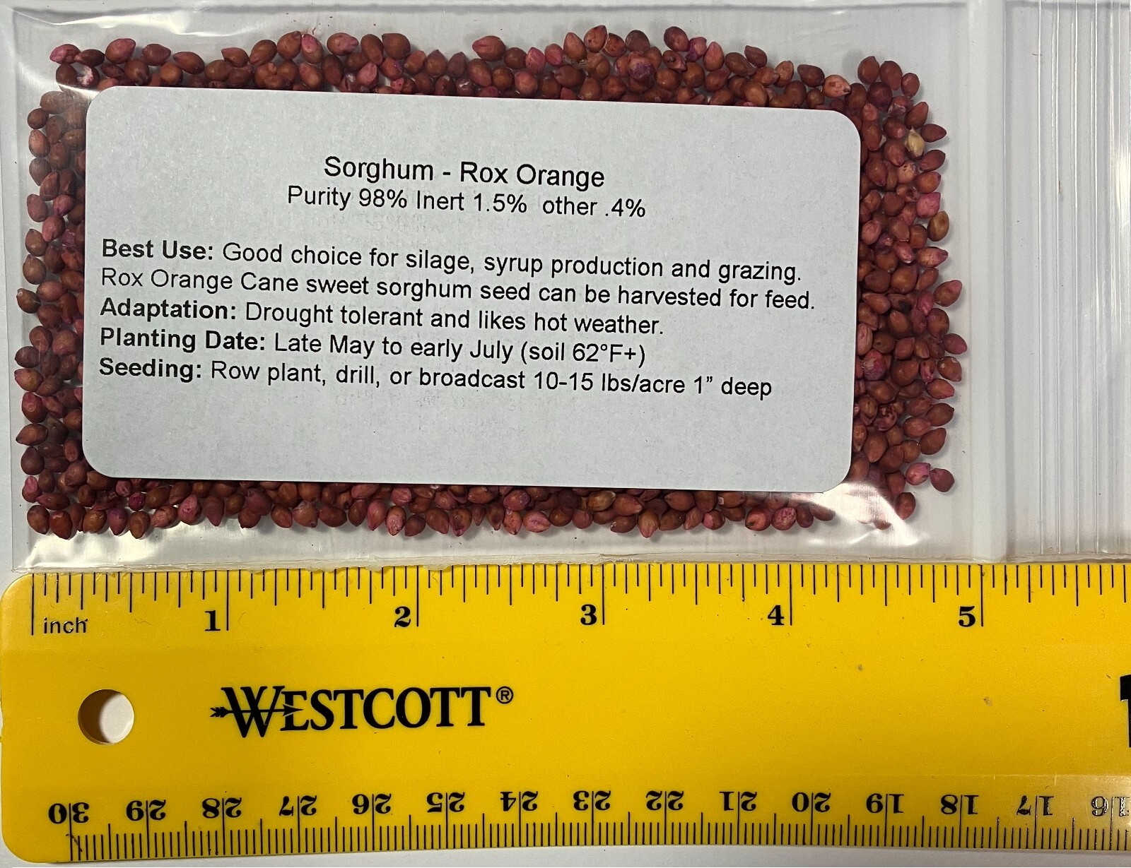 800-1000 Sorghum Seeds Rox Orange Syrup Cane Non-GMO Heirloom