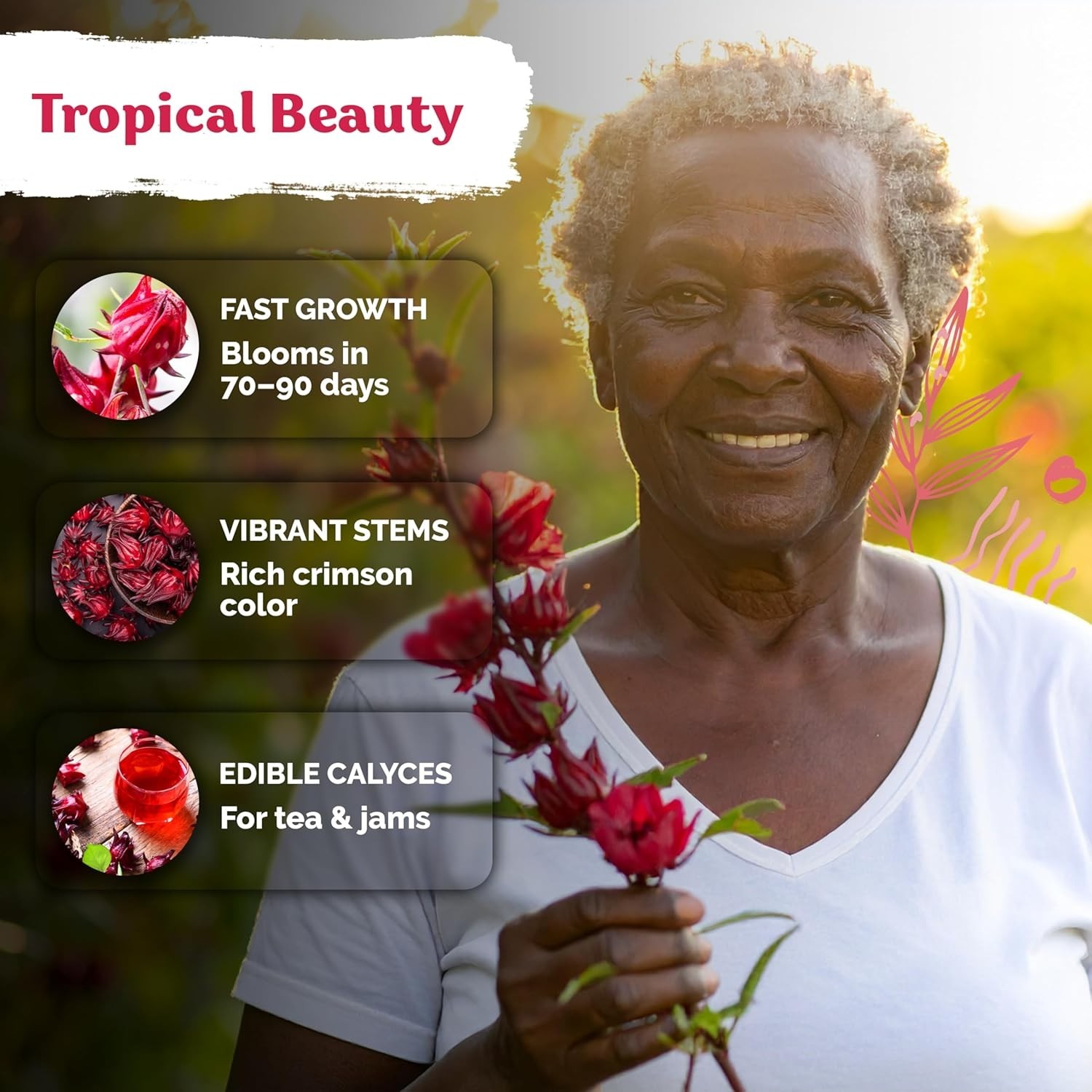 Vibrant Red Hibiscus Seeds – 150 Count for Garden & Delicious Hibiscus Tea