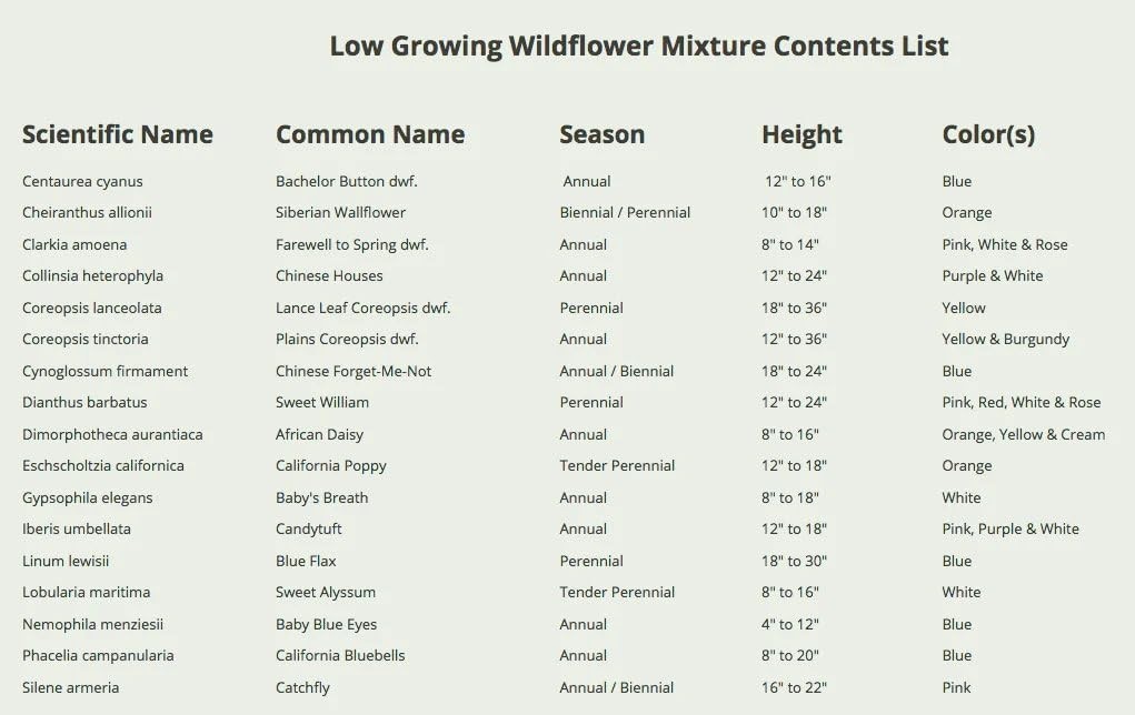 1 Ounce Heirloom Wildflower Seeds Blend | 17 Varieties for Butterfly Gardens