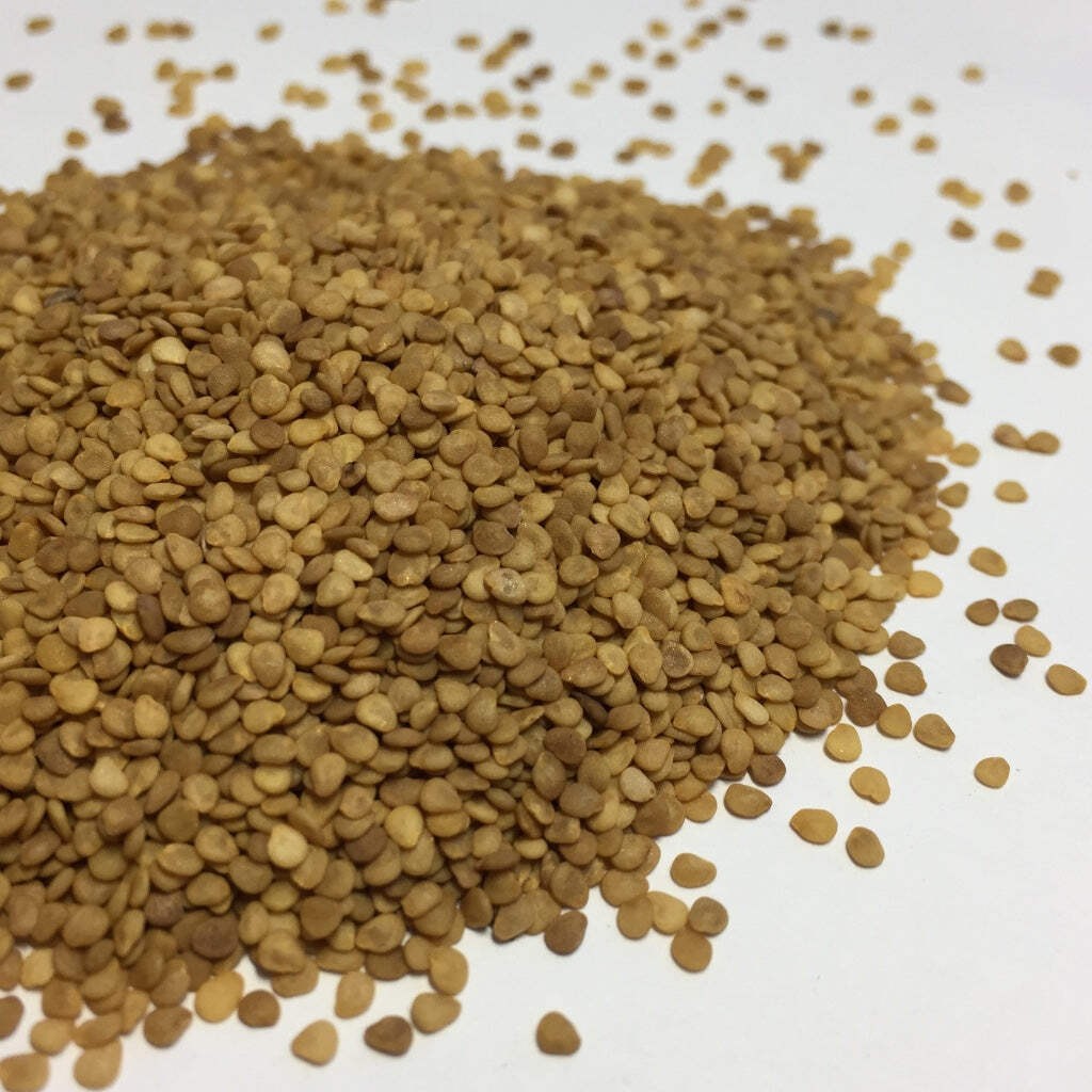 Ashwagandha Seeds (Withania somnifera) ~Ayurvedic Herb Garden