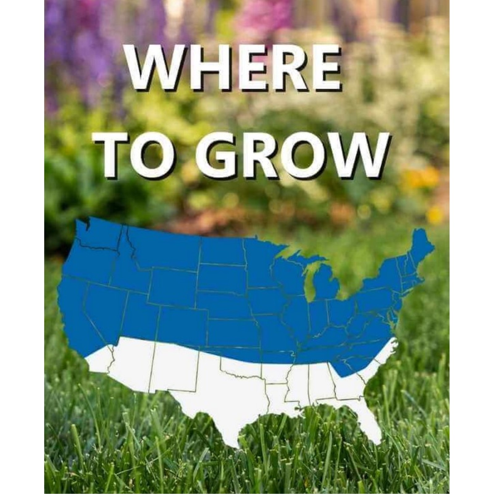 Jonathan Green (#12002) Black Beauty Sun & Shade Grass Seed, 3lb bag