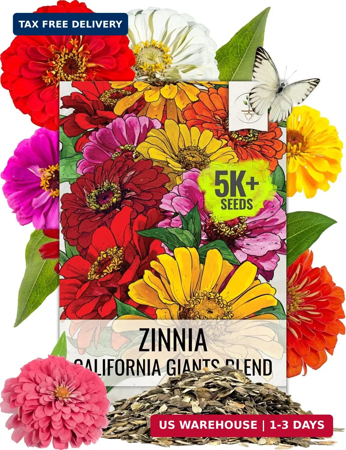 Seed Needs Zinnia Seeds California Giants Variety | 5,000+ Heirloom Seeds Zinnia