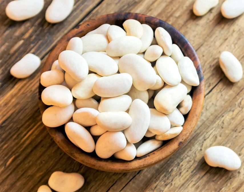 Navy Bean Seeds | For Planting Great White Northern Beans Vegetable Seed 2024