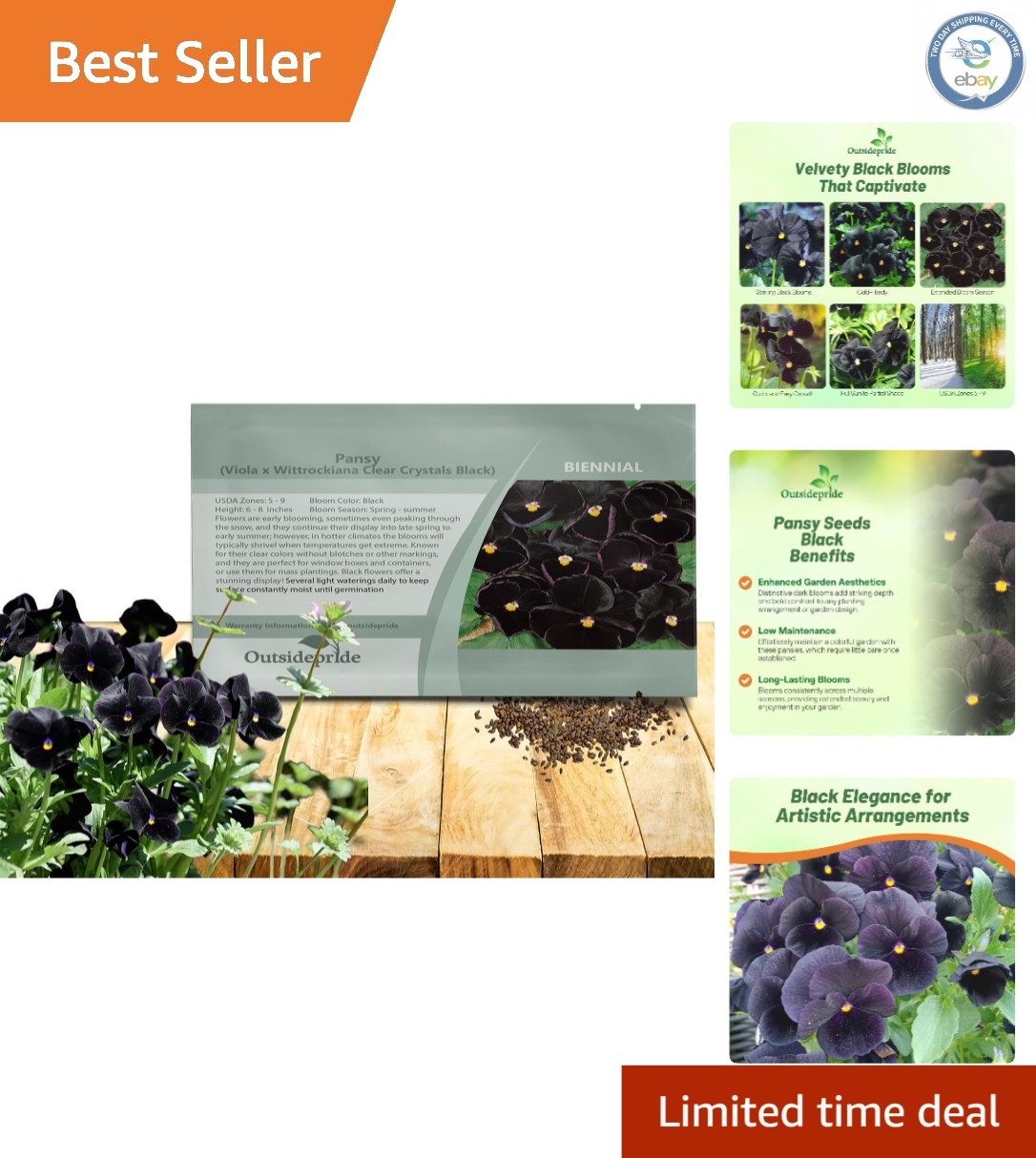 Elegant Black Viola Pansy Seeds – Pollinator-Friendly Biennials for Any Garden