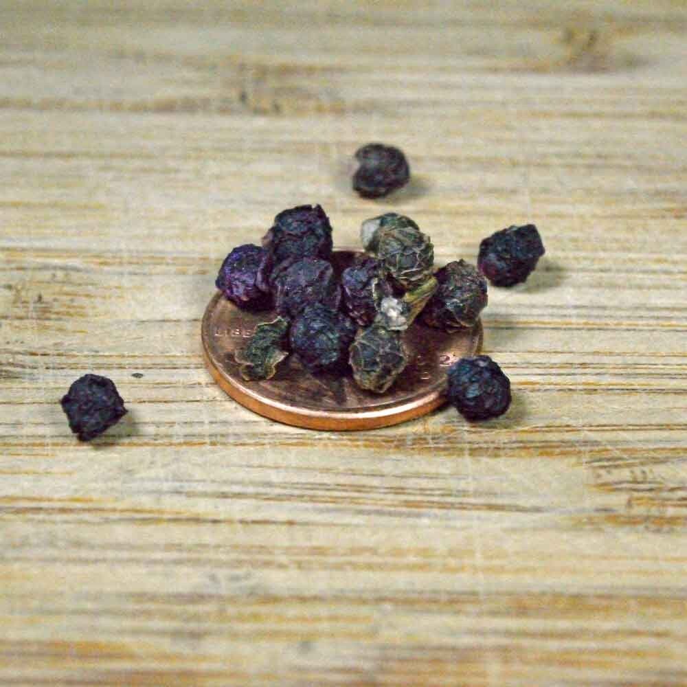 150+Malabar Spinach Seeds Mong Toi Ceylon Vine Spinach GMO Free Perennial