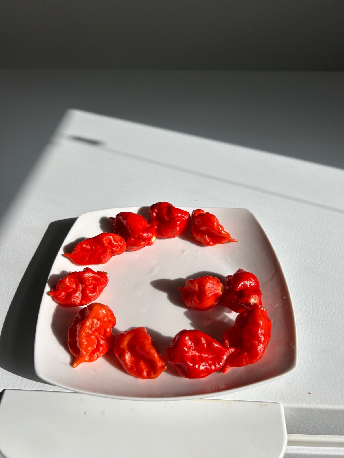 40 Genuine Red Ghost Pepper Seeds Extremely Hot