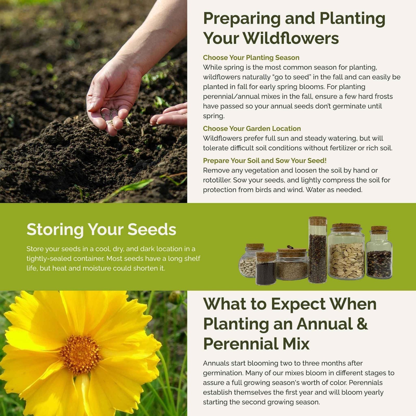 Wildflower Mixed Seeds for Planting – 1 lb, 480,000+ Seeds, Attracts Pollinators